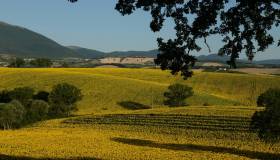 Cammino dei Cappuccini: tappe, storia, luoghi e consigli utili