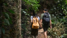 Cammino di San Vicinio: tappe, storia e consigli pratici