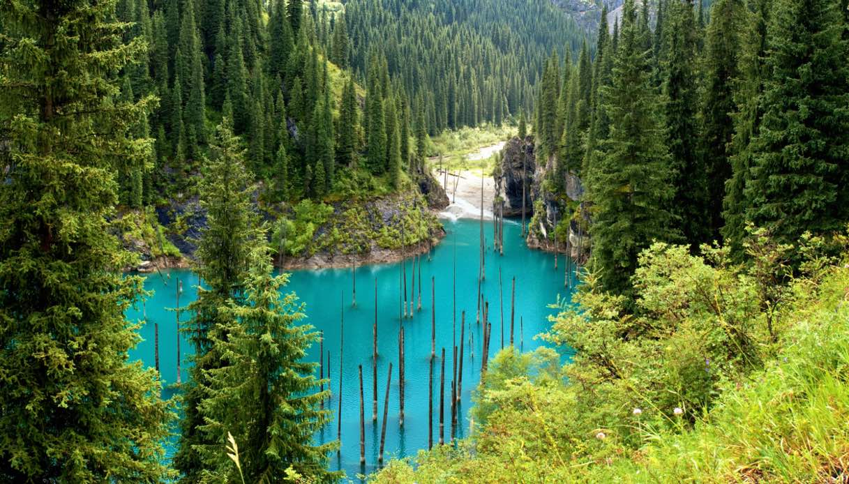 La foresta sommersa del Lago Kaindy