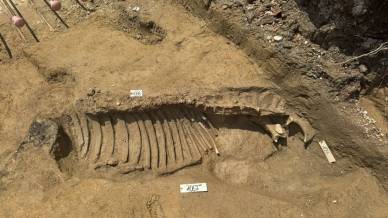 Padova svela i suoi segreti: scoperta un’antica necropoli con il mistero di un cavallo sepolto