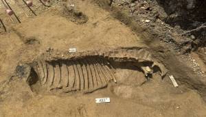 Lo studio archeologico della nuova necropoli di Padova