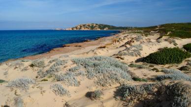 Lu Litarroni in Sardegna, il fascino di una spiaggia dove la macchia mediterranea incontra il granito