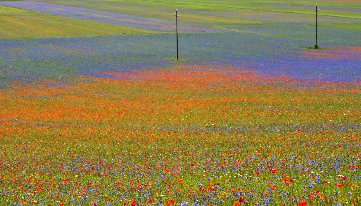 https://siviaggia.it/wp-content/uploads/sites/2/2025/06/CAMPEGGI.COM-4.-Umbria-Castellucio-di-Norcia_Fonte-Unsplash.jpg