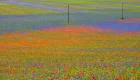 Color Walk: un viaggio tra colori e consapevolezza in Italia