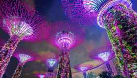 Gardens by the Bay: un sogno verde nel cuore di Singapore