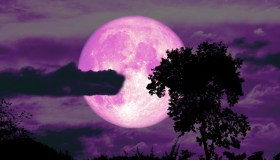 Arriva la Luna delle Fragole, come (e dove) osservarla al meglio