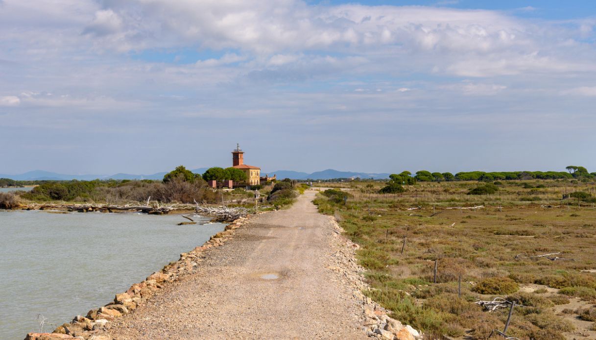 Parco della Maremma, Marina di Alberese, Grosseto, Toscana