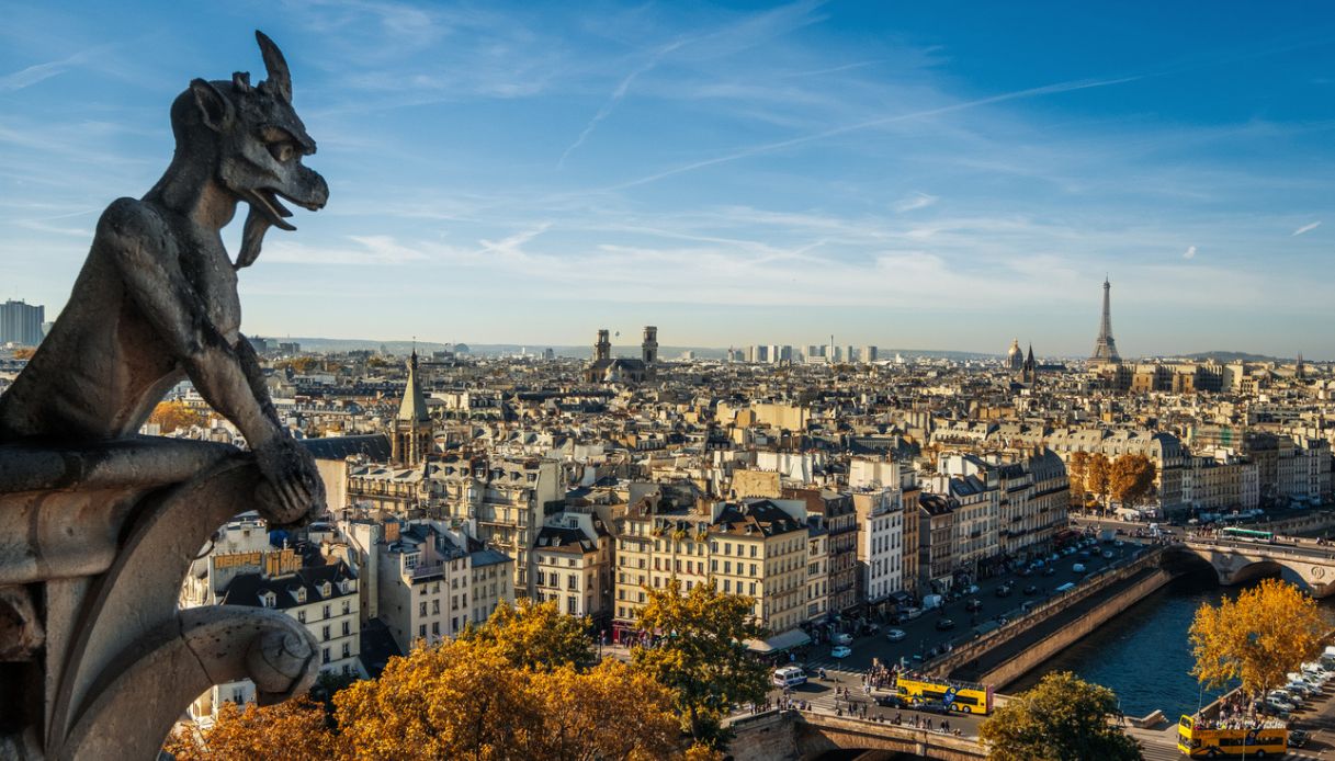 Parigi vista dal tetto di Notre Dame