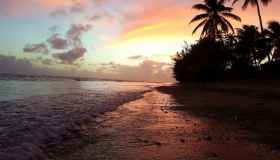 Patillas, il sogno verde di Porto Rico tra foreste e spiagge paradisiache