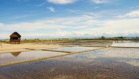 Salina di Cervia: dove l’oro bianco incontra la natura e la memoria