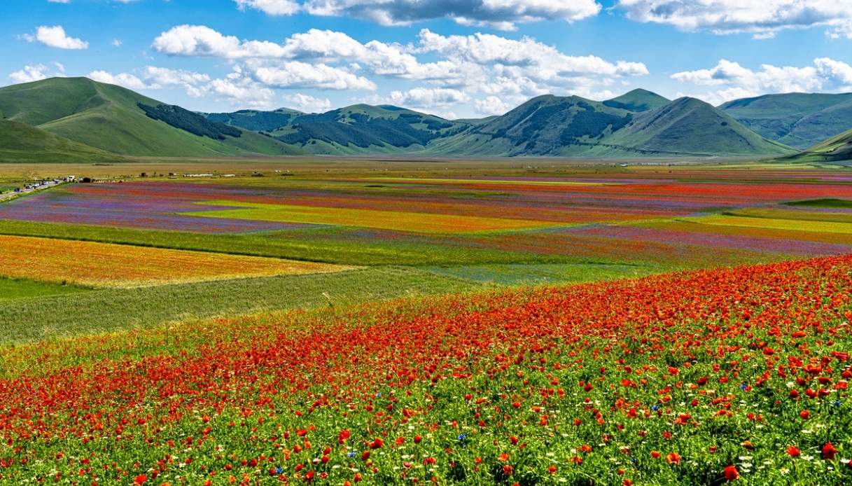 https://siviaggia.it/wp-content/uploads/sites/2/2025/06/Sentiero-della-fioritura-Castelluccio-di-Norcia.jpg