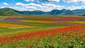 Sentiero della fioritura a Castelluccio di Norcia, una passeggiata arcobaleno da scoprire