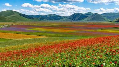Sentiero della fioritura a Castelluccio di Norcia, una passeggiata arcobaleno da scoprire