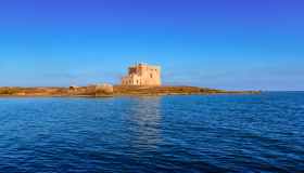 Torre Guaceto tra le eccellenze mondiali del mare: premiata come Blue Park per la protezione degli oceani