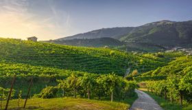 La classifica del Turismo DOP svela le regioni da scoprire, tra strade dei sapori e specialità