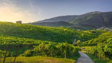 La classifica del Turismo DOP svela le regioni da scoprire, tra strade dei sapori e specialità