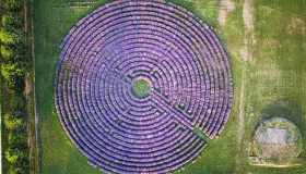 Il campo di lavanda più bello d’Italia è un labirinto sensoriale e magico in cui perdersi