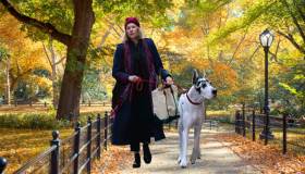 I luoghi del film L’Amico Fedele con Bill Murray e Naomi Watts