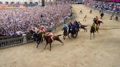 Palio di Siena 2025: tutto ciò che c’è da sapere sulla corsa ippica più famosa d’Italia