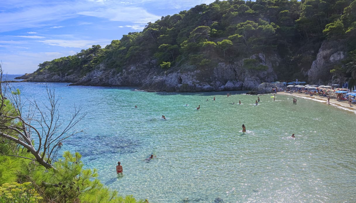 Spiaggia con acqua cristallina e vegetazione