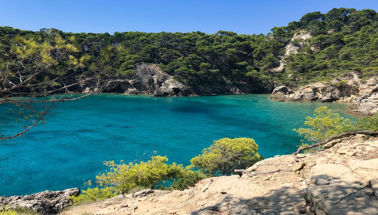 spiaggia con acqua turchese e vegetazione