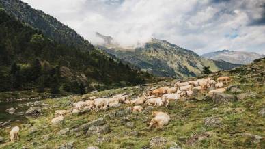 Cammino Francese: dalla Francia a Santiago, attraverso i Pirenei