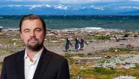 Alla scoperta di Guafo, l’isola cilena acquistata da DiCaprio per salvarla