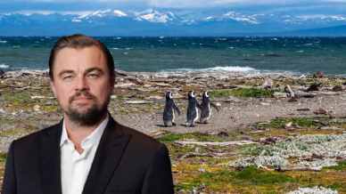 Alla scoperta di Guafo, l’isola cilena acquistata da DiCaprio per salvarla