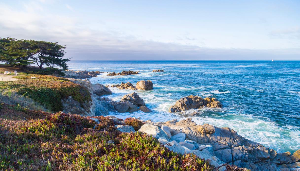 Monterey