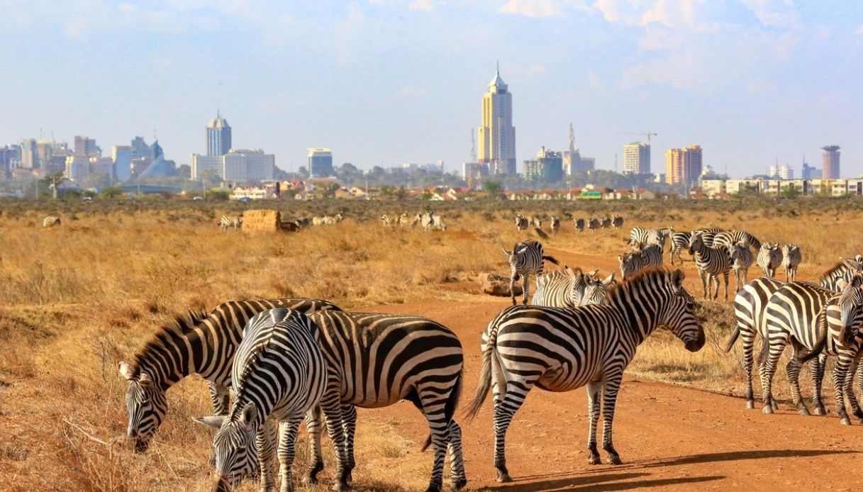 Nairobi la meta low cost del Kenya