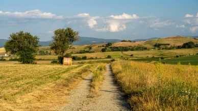 Ciclovia dei Parchi: in bici per scoprire la Calabria più autentica