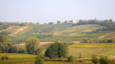 Montalto Pavese, il borgo con l’antico castello che ha stregato Alicia Keys
