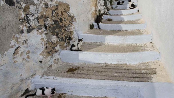 Santorini, itinerari fuori rotta lontani dall'overtoursim e dalla folla