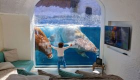 Dormire in una camera con vista su trichechi, pinguini e orsi polari: succede in Europa