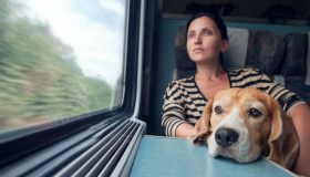 Quest’estate i cani viaggiano gratis in treno, nessuna taglia esclusa