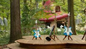 Puffolandia esiste davvero. È nascosta in un bosco magico in cui puoi andare