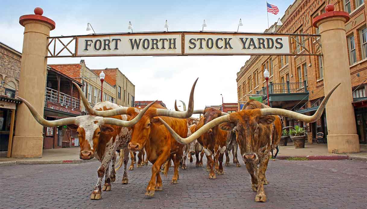 Fort-Worth-stockyards-cattle-drive