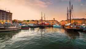 Viaggio a 4 zampe, a Helsinki nasce il primo tour turistico al mondo per i cani