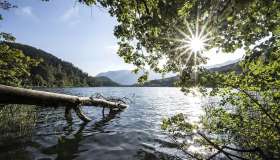 Il Lago di Monticolo e la leggenda dell’Uomo selvaggio che viveva nella casetta del bosco