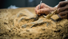 Polonia, scoperta un’officina del Neandertal datata 70.000 anni fa