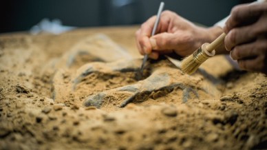 Polonia, scoperta un’officina del Neandertal datata 70.000 anni fa