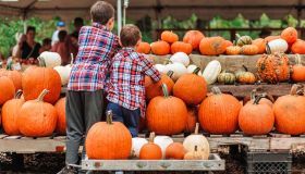 Campi di zucca e colori d’autunno, la mappa dei luoghi da visitare in Italia