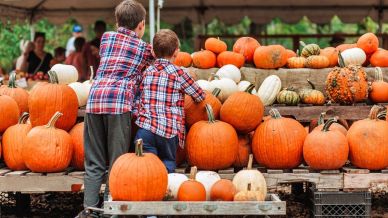 Campi di zucca e colori d’autunno, la mappa dei luoghi da visitare in Italia