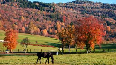Cansiglio: un oceano di colori e silenzi nella foresta nel cuore del Veneto