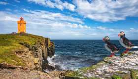 Alla scoperta di Grímsey, l’isola con 20 abitanti e milioni di uccelli