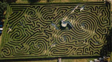 L’incredibile labirinto di Longleat in Inghilterra: 16mila alberi e un esercito di giardinieri