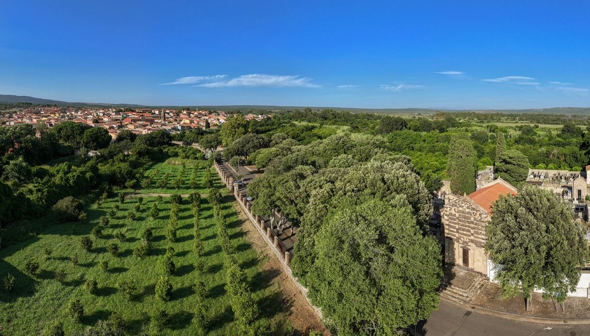 Le giornate del Romanico illuminano di meraviglia la Sardegna: gli eventi imperdibili