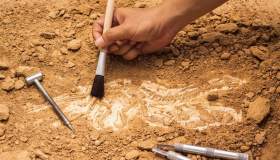 Göbekli Tepe sorprende ancora: scoperta una statua umana di 12.000 anni in Turchia