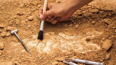 Göbekli Tepe sorprende ancora: scoperta una statua umana di 12.000 anni in Turchia