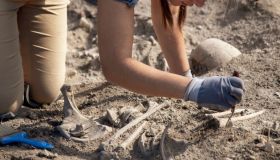 Scoperte le più antiche mummie al mondo e no, non sono in Egitto